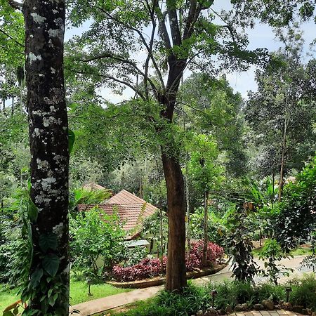 Willow Resorts Ambalavayal Kültér fotó